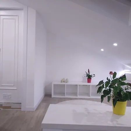 Apartamento Entre Gascona Y Campus Milan - Wifi Apartment