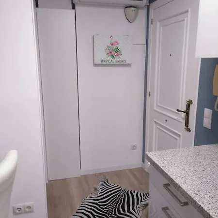 Apartamento Entre Gascona Y Campus Milan - Wifi *